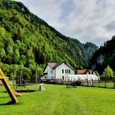 Casa Petruta Dambovicioara Hotel Podu Dimbovitei Eksteriør billede