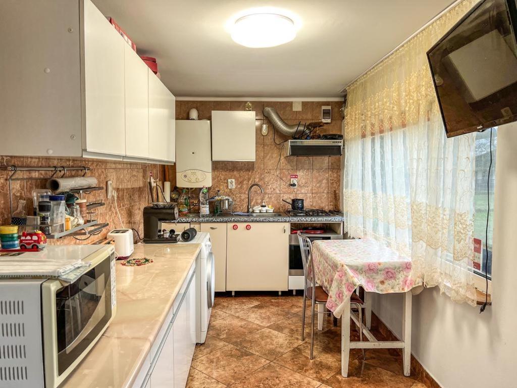 Casa Petruta Dambovicioara Hotel Podu Dimbovitei Eksteriør billede