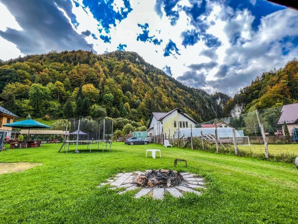 Casa Petruta Dambovicioara Hotel Podu Dimbovitei Eksteriør billede