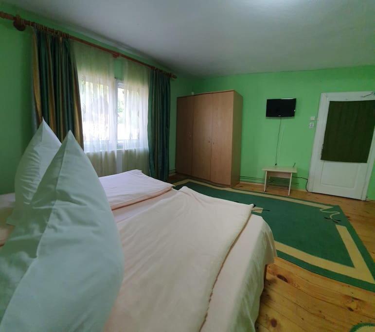 Casa Petruta Dambovicioara Hotel Podu Dimbovitei Eksteriør billede
