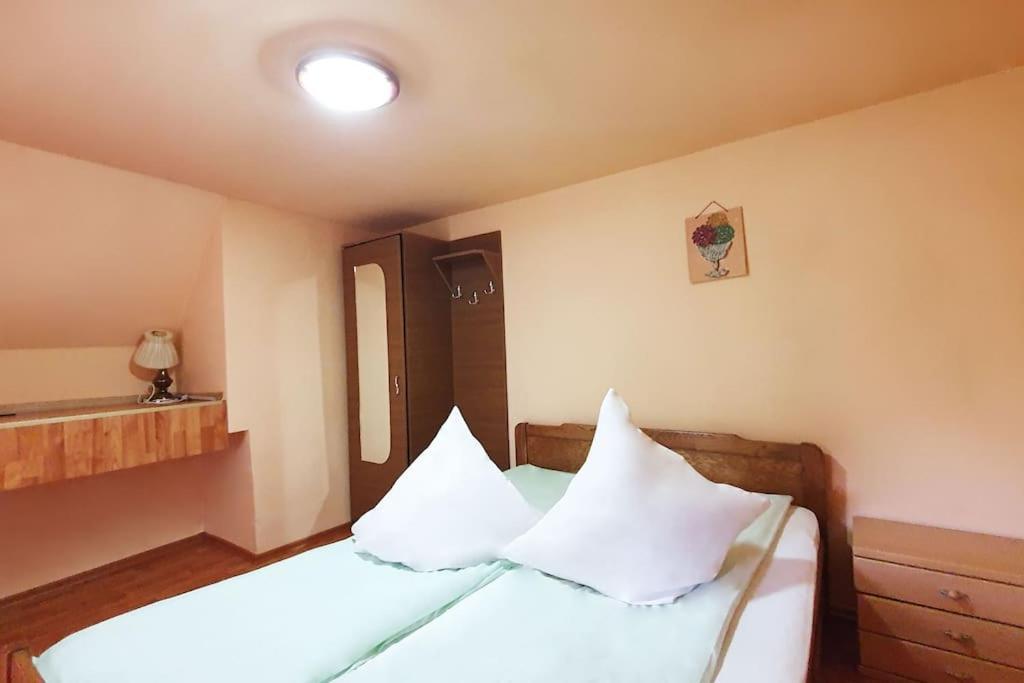 Casa Petruta Dambovicioara Hotel Podu Dimbovitei Eksteriør billede
