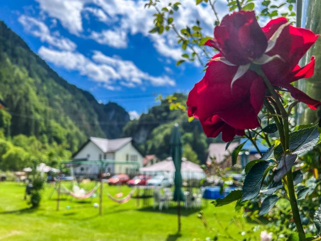 Casa Petruta Dambovicioara Hotel Podu Dimbovitei Eksteriør billede