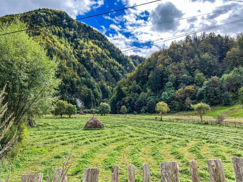 Casa Petruta Dambovicioara Hotel Podu Dimbovitei Eksteriør billede