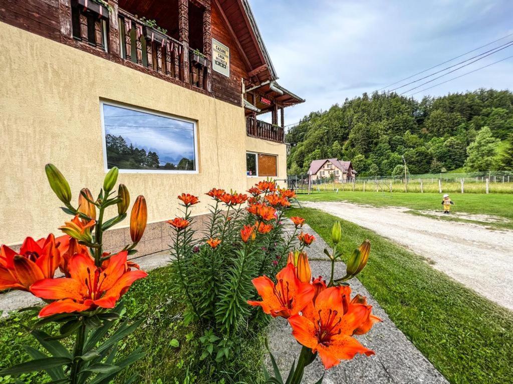 Casa Petruta Dambovicioara Hotel Podu Dimbovitei Eksteriør billede