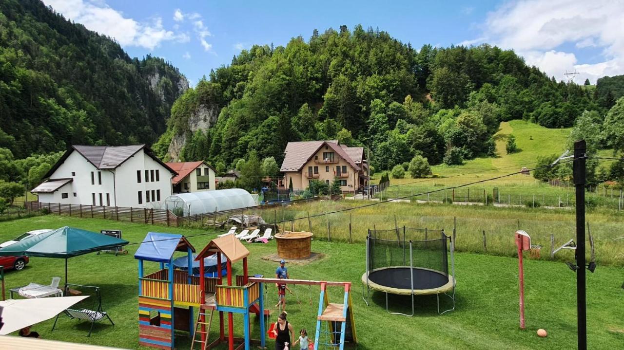 Casa Petruta Dambovicioara Hotel Podu Dimbovitei Eksteriør billede