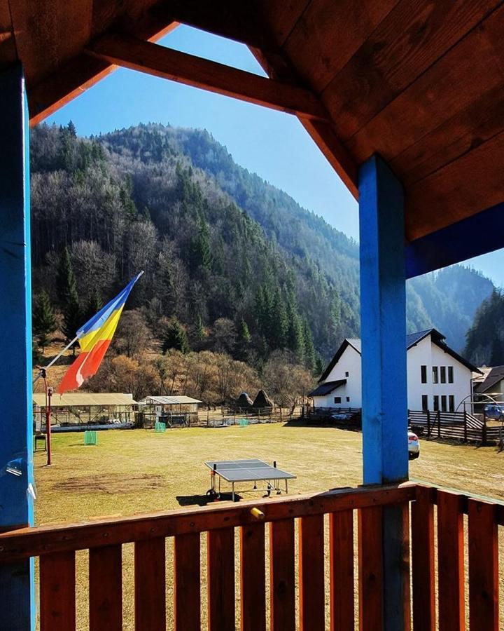 Casa Petruta Dambovicioara Hotel Podu Dimbovitei Eksteriør billede