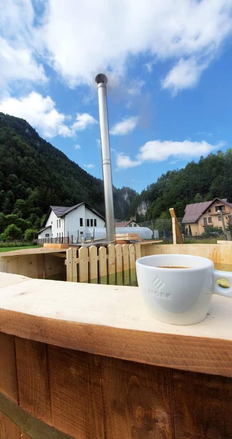 Casa Petruta Dambovicioara Hotel Podu Dimbovitei Eksteriør billede