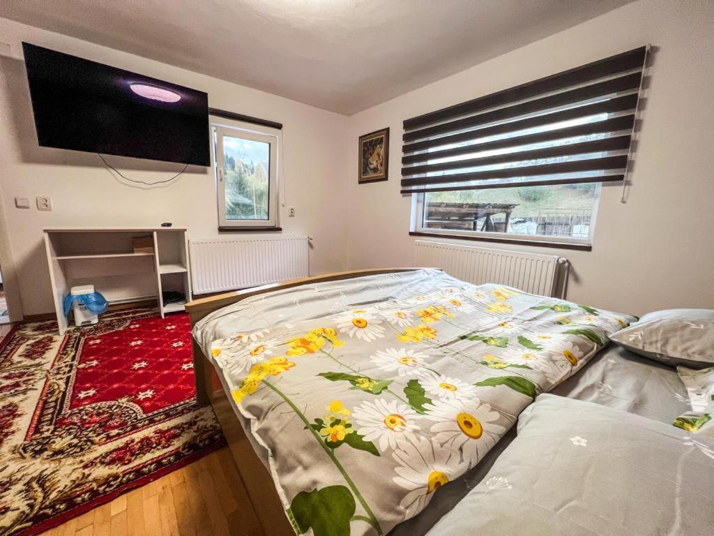 Casa Petruta Dambovicioara Hotel Podu Dimbovitei Eksteriør billede